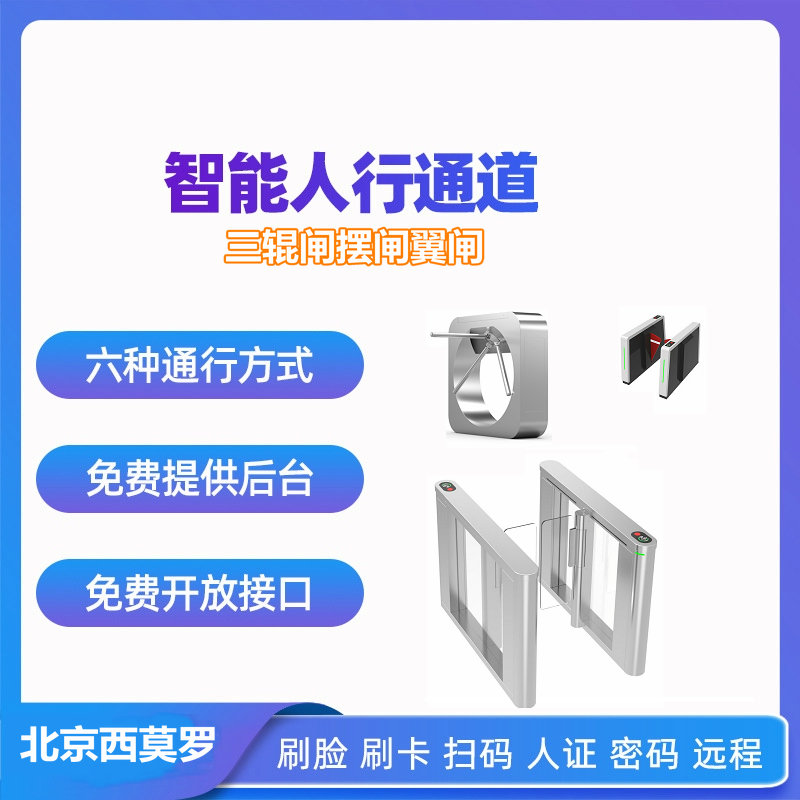 三辊闸摆闸翼闸